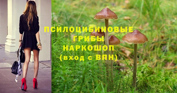 ALPHA-PVP Дмитров