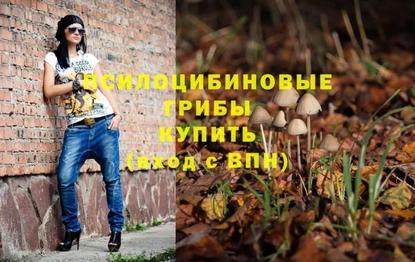 ГАЛЛЮЦИНОГЕННЫЕ ГРИБЫ Гусев