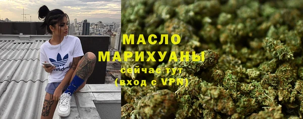 ГАЛЛЮЦИНОГЕННЫЕ ГРИБЫ Гусев
