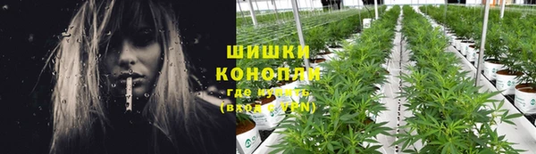 мяу мяу мука Дмитровск