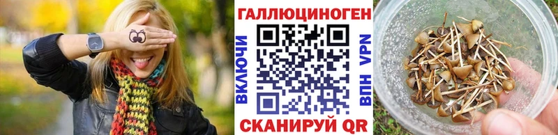 Псилоцибиновые грибы ЛСД  Купить где  Ишим 