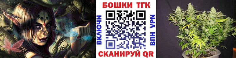 Шишки марихуана план  Купить закладки  Ишим 